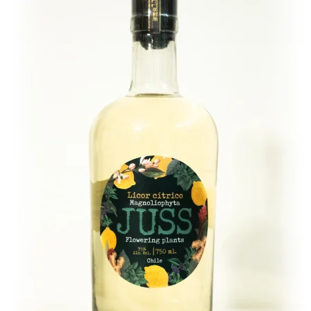 Juss - 750ml
